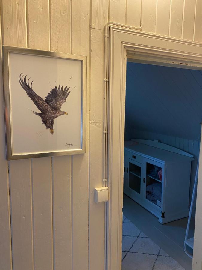 Nordlandshuset "Lottebakken", Ballstad In Lofoten Kültér fotó