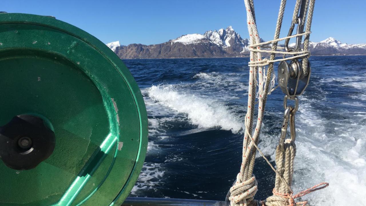 Nordlandshuset "Lottebakken", Ballstad In Lofoten Kültér fotó